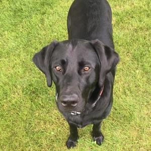 Meet your Posher, Ann